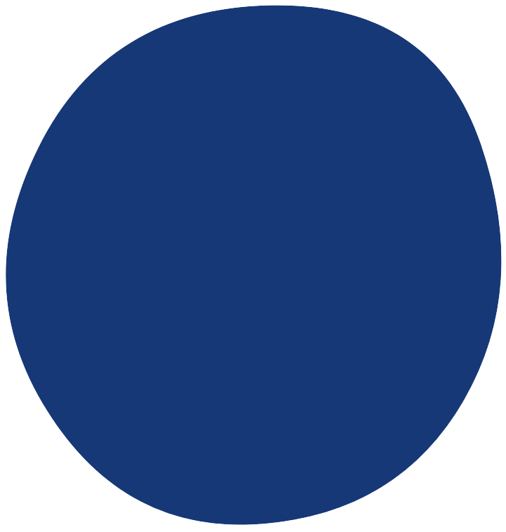 magicpattern-blob-1737375695476