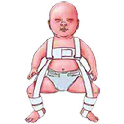 پاولیک هارنس